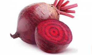 甜菜根 甜菜根 彩色粽子 红元宝饺子 甜菜泥