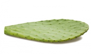 仙人掌 仙人掌炒虾仁 仙人掌蛋花汤 仙人掌沙拉