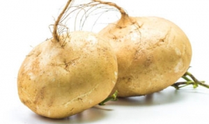 豆薯 鲜蔬鸡丁 芦笋豆薯炒虾仁 蒸肠粉