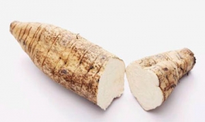 葛根 药膳粥 葛根汤 秋梨膏 惜颜粥