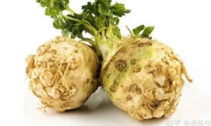 块根芹 冷拌脆香块根芹 洋葱块根芹黄瓜汁 块根芹浓汤