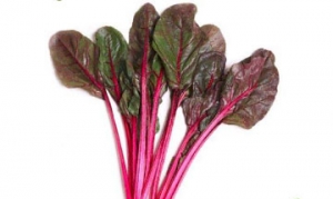 甜菜 甜菜冷汤 甜菜拌咯吱 甜菜凤梨汁