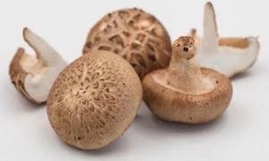 香菇 香菇酿肉 什菌菇煲 辣卤香菇 鱼肠炒香菇