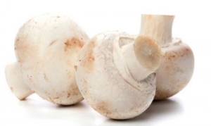 口蘑  蚝油口蘑 培根黑椒口蘑 烤口蘑 香草口蘑