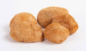 猴头菇 猴头菇粉 双菇土鸡汤 点菇成金