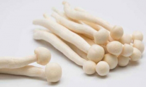 白玉菇 双菇荟萃 双菇荟萃 水煮双菇 滑蛋虾球