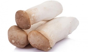 杏鲍菇 三杯杏鲍菇 酱烧杏鲍菇 干煸杏鲍菇