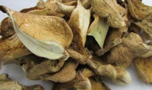 元蘑 菌菇炖鸽子 盖浇饭 元蘑炒青椒 冻蘑炖排骨