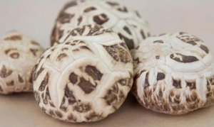 花菇 虾仁炒粉干 清炖鸡汤 腊味一锅烩 花菇鸡汤