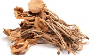 干茶树菇 菌菇杂粮饭 干烧茶树菇 干锅茶树菇