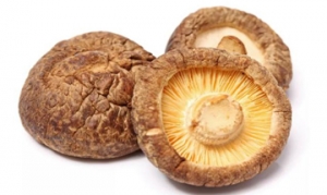 干香菇 百花酿香菇 香菇炖鸡 四喜烤麸 菌菇鸡煲