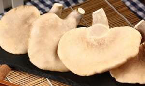 鲍鱼菇 蚝油香菇生菜 蚝油扒鲍菇 鲍鱼菇肉汤