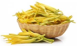 黄花菜 凉拌黄花菜 黄花菜烧鸡 鲜香炖土鸡