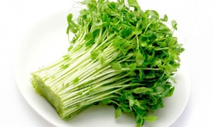 豌豆尖 素炒豌豆尖 凉拌豌豆尖 素炒豌豆尖