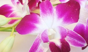 兰花 水果拼盘 豉油皇焗生蚝 海蓬煎饼