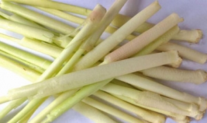 香蒲 开洋蒲菜 蒲菜茶馓 奶汤蒲菜 蒲菜水饺