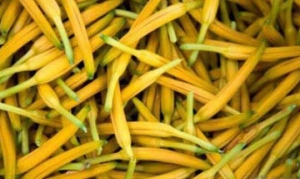 青金针花 金针菜蒸肉片 木须肉 四喜烤麸