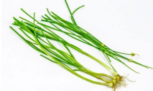 野葱 野葱扒鸡蛋 野葱煎饼 野葱炒蛋 野葱米饼