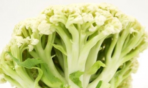 有机菜花 低脂沙拉 孜然有机花菜 干煸花菜