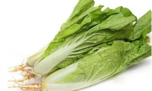 快菜 白灼快菜 肉饼浸快菜 辣炒快菜 清炒快菜