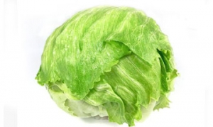 球生菜 轻食沙拉 蔬菜沙拉 蔬菜沙拉 科布沙拉