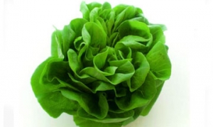 奶油生菜 玉米紫薯圣女果沙拉 水煮肉