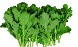 大叶茼蒿 麻辣香锅 花椒炝炒大叶茼蒿