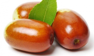 枣 枣馒头 苹果小米粥 玉米排骨汤 枣饽饽