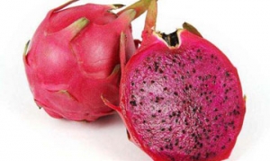 火龙果 火龙果布丁 火龙果蛋糕卷 水果酸奶片