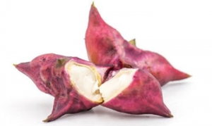 菱角 荷塘三宝 菱角烧肉 盐水菱角 水三鲜