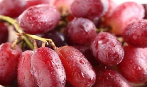 提子 沙拉吐司 水果杯 菠菜蛋糕卷 冰糖炖提子