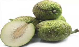 面包果 波罗蜜排骨汤