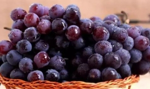 玫瑰香葡萄 葡萄汁 自酿葡萄酒 玫瑰香露  冰淇淋