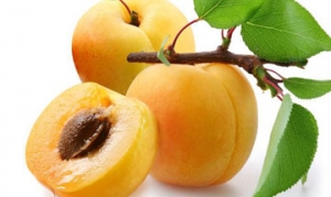 梅子 梅子炒饭 鲭鱼寿司 酸梅汤 蜜汁排骨