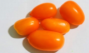 奶柿子 西红柿鸡蛋小馄饨