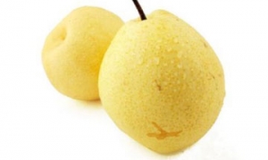 冬果梨 自制秋梨膏 冬果糖水