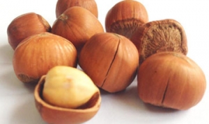 榛子 车轮泡芙 果仁蛋糕 香浓榛仁酥 榛子曲奇