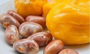 菠萝蜜子 菠萝蜜子炖鸡骨架 菠萝蜜子红枣粥