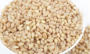 麦仁 麦饭 杂粮椰果奶茶 红糖麦仁馒头