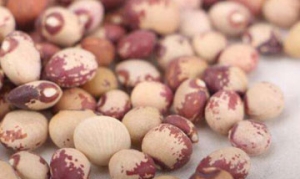 熊猫豆 腊八粥 杂粮粥