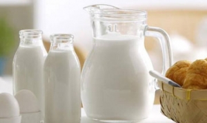 羊奶 阳光早餐 羊奶花样面包 黄桃羊奶冻布甸