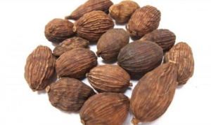 草果 丁香烧鸭脖 卤鹌鹑蛋 把子肉 万三蹄 虎皮爪