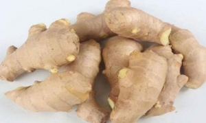 鲜姜 白灼虾 清蒸带鱼 麦乐鸡块 干贝鸡汤