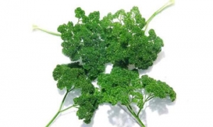法香 油醋双菇 肉松沙拉小方 响竹白菜 炸鱼薯条