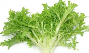 菊苣 法式甘蓝沙拉 菊苣大虾沙拉 奶酪汤丸