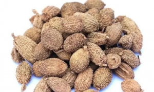 香砂仁 秘制卤猪蹄 萝卜炖牛腩 自制金银蒜蓉酱