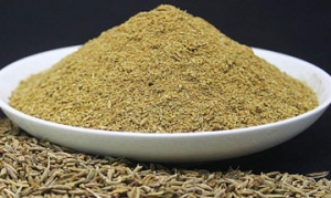 孜然粉 猪肝炒笋 粉角 香辣鸡尖 柠檬烤翅