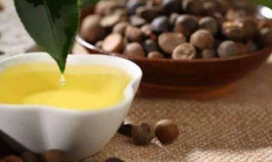 山茶油 葱油玉兔 手撕茄子 素三鲜锅贴 素烧鹅