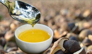 油茶籽油 荷兰豆炒百合 爽口凉拌菜 火龙果面线