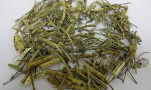 马鞭草 马鞭草奇异果果酱